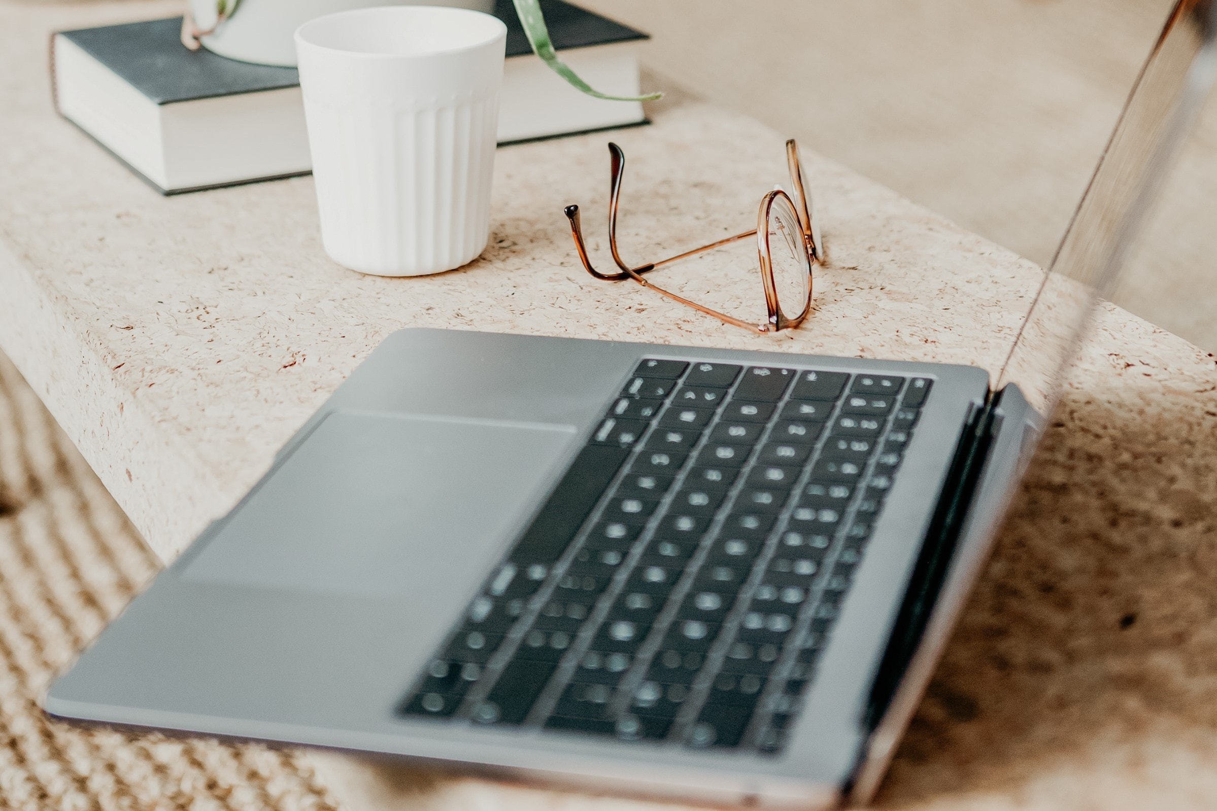 Laptop, glasses, cup, books and plant on a coffee table